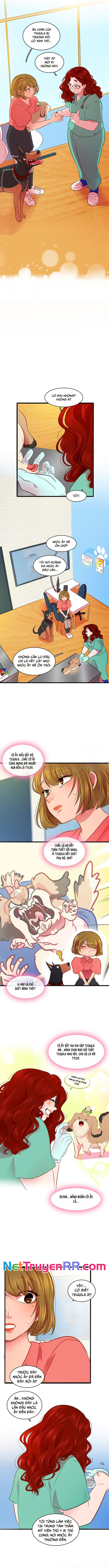 Tình Yêu Dẫn Lối Chap 42 - Next Chap 43