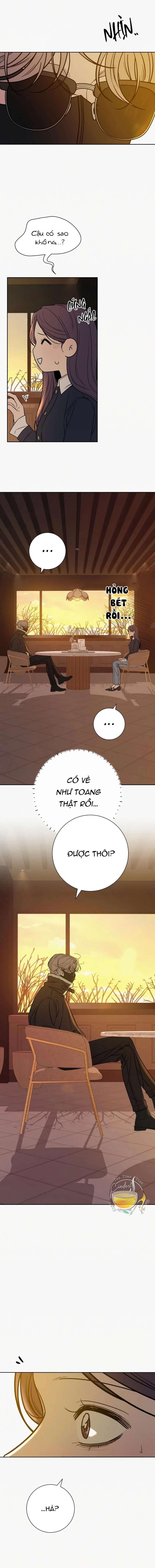 Tình Yêu Trong Sáng Chap 107 - Next Chap 108