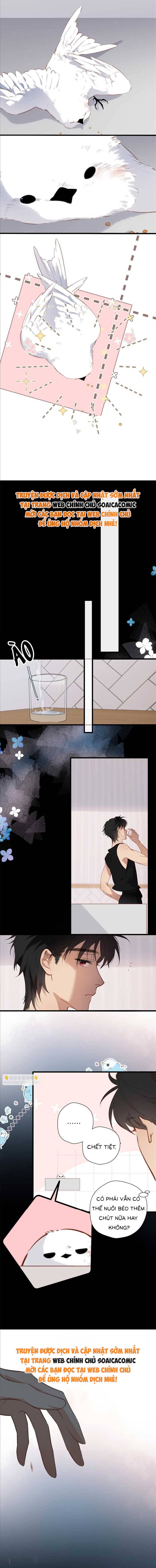 Tố Hồi Xuân Thời Chap 32 - Next Chap 33