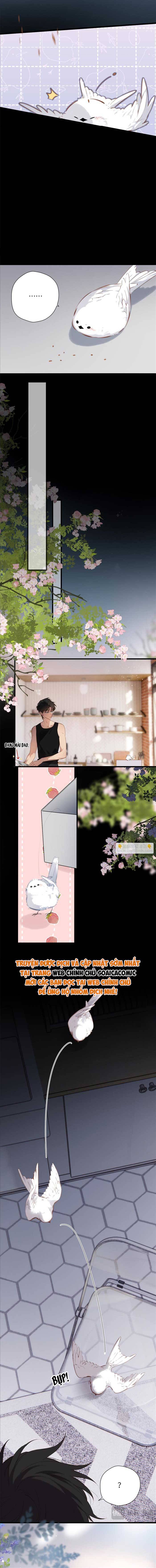 Tố Hồi Xuân Thời Chap 32 - Next Chap 33