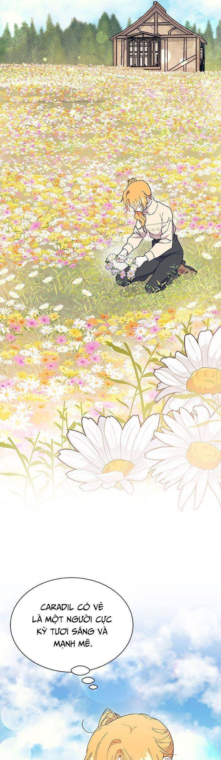 Tôi Không Muốn Làm Người Mai Mối Chap 78 - Next Chap 79