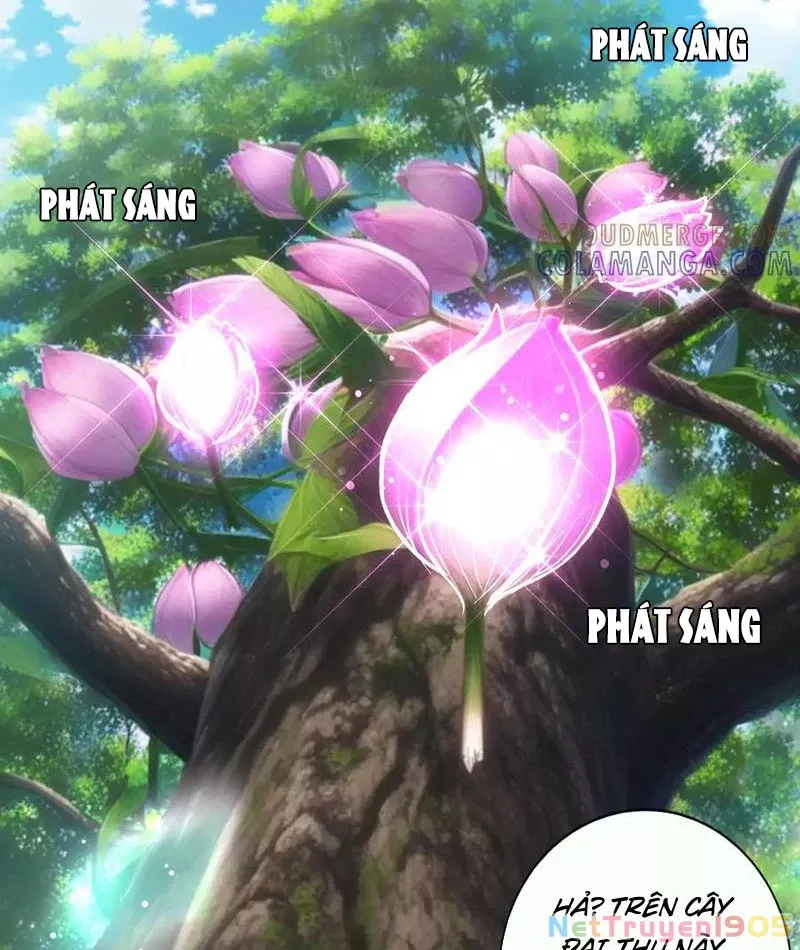 Tôi làm NPC ở dị giới Chap 16 - Next Chap 17