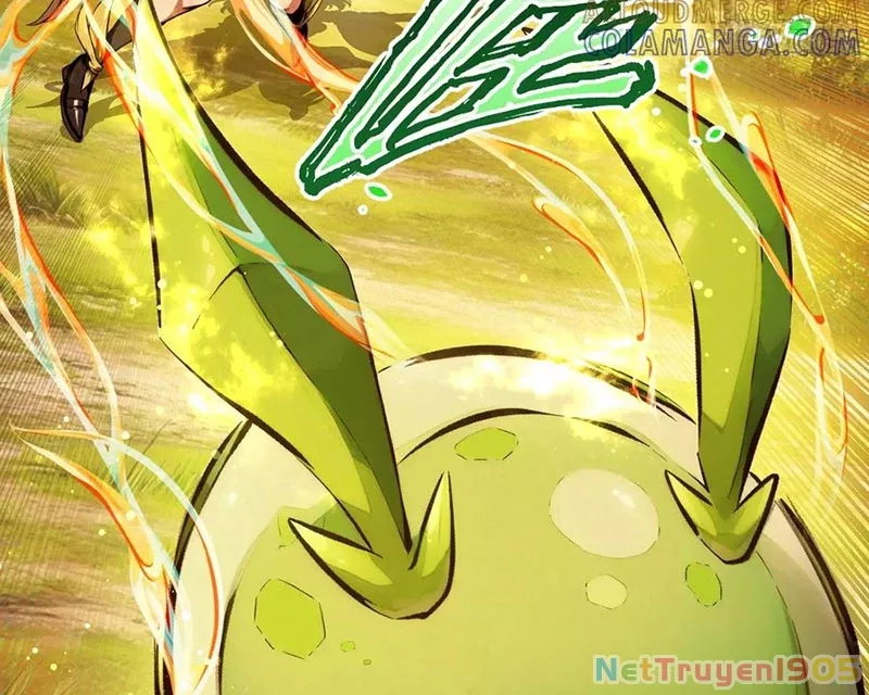 Tôi làm NPC ở dị giới Chap 17 - Next Chap 18