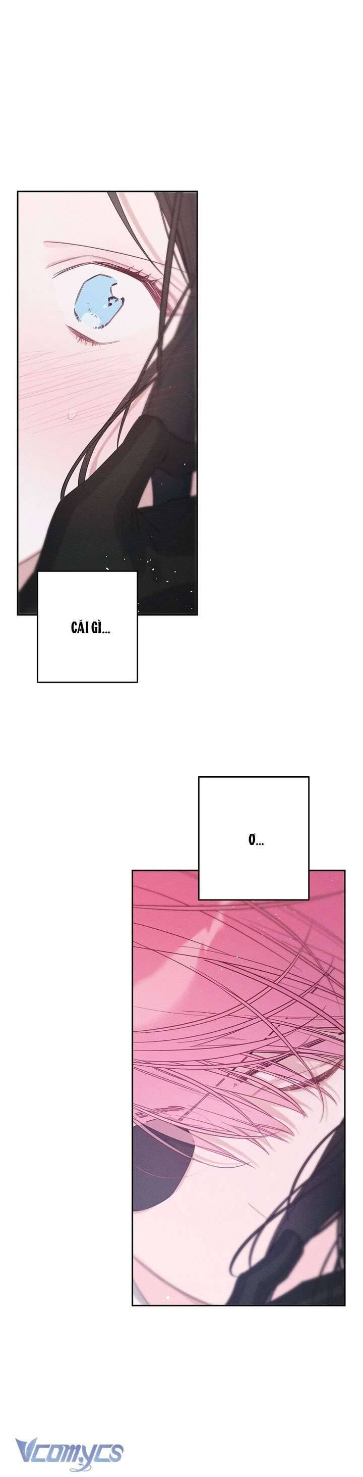 Tôi Phải Giấu Em Trai Trước Đã Chap 80 - Next Chap 81