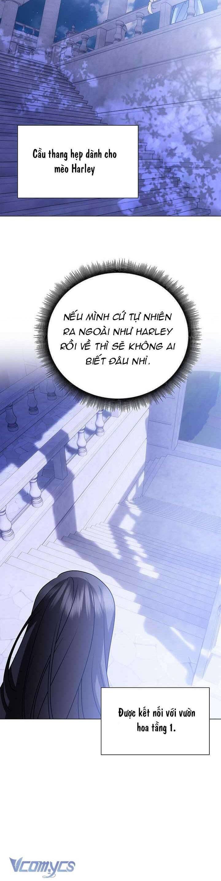 Tôi Sẽ Không Hối Tiếc Vì Anh Đâu Chap 136 - Next Chap 137