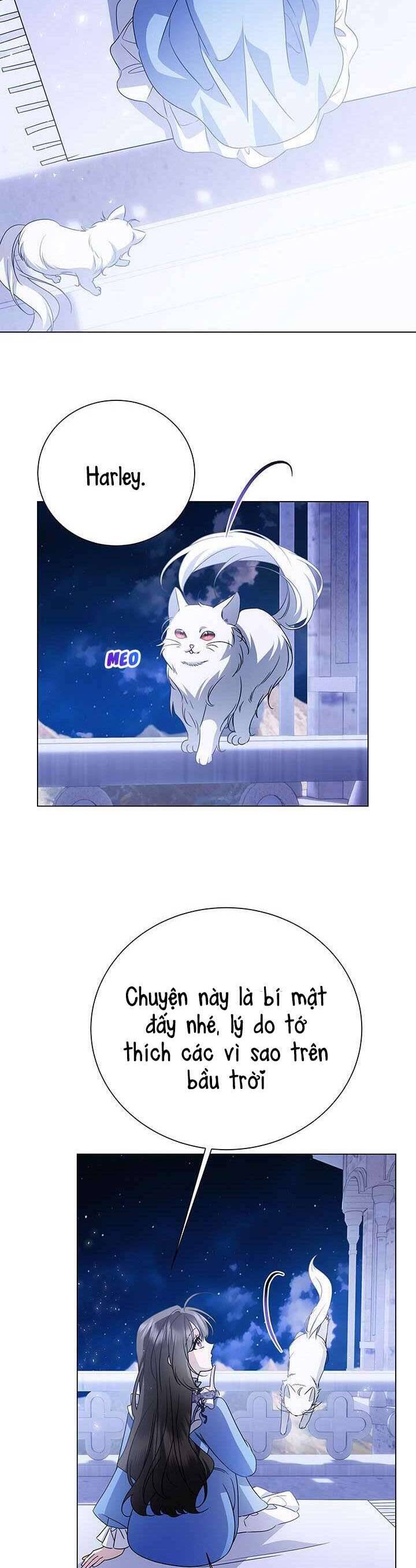 Tôi Sẽ Không Hối Tiếc Vì Anh Đâu Chap 136 - Next Chap 137