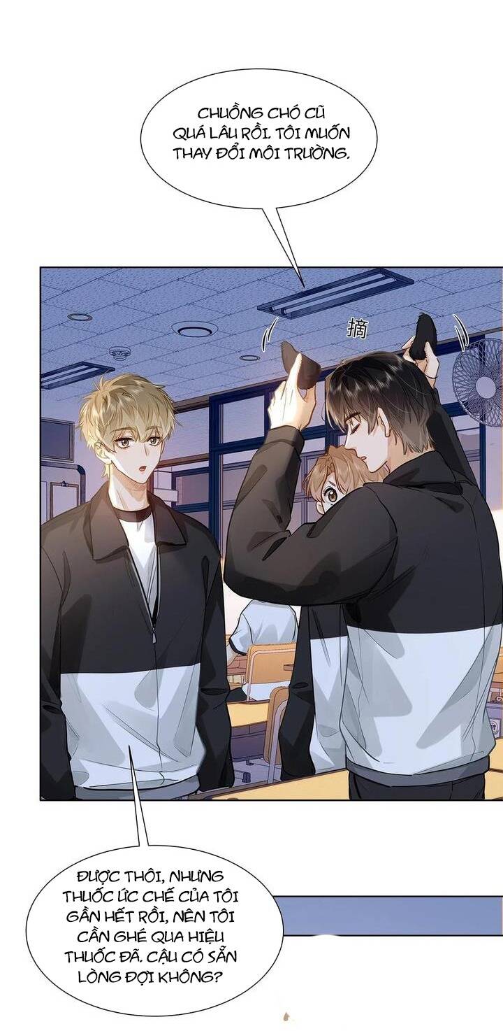 Tôi Thích Pheromone Của Cậu Chap 47 - Next Chap 48