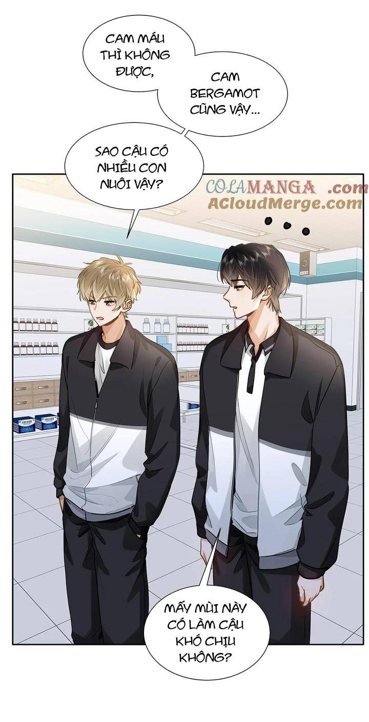 Tôi Thích Pheromone Của Cậu Chap 47 - Next Chap 48