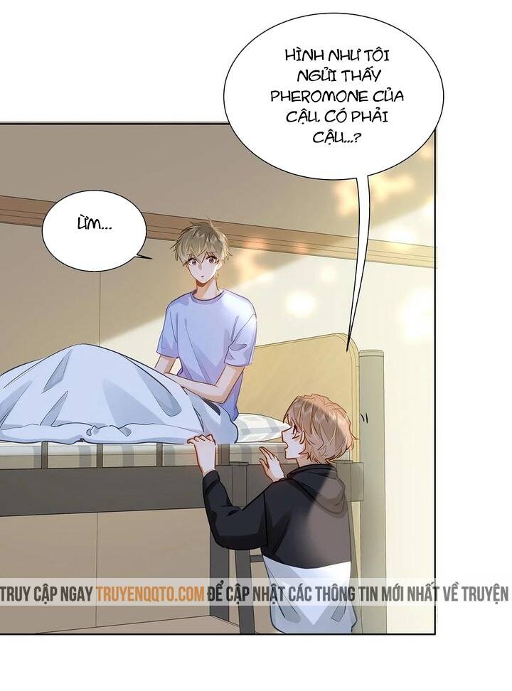 Tôi Thích Pheromone Của Cậu Chap 49 - Next Chap 50