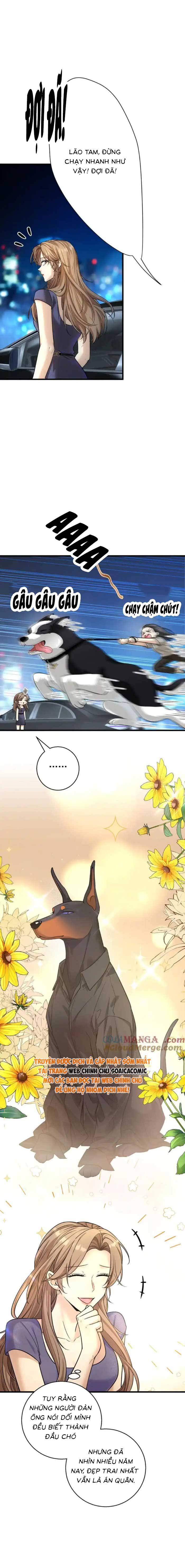 Tổng Tài Chó Chap 30 - Next Chap 31