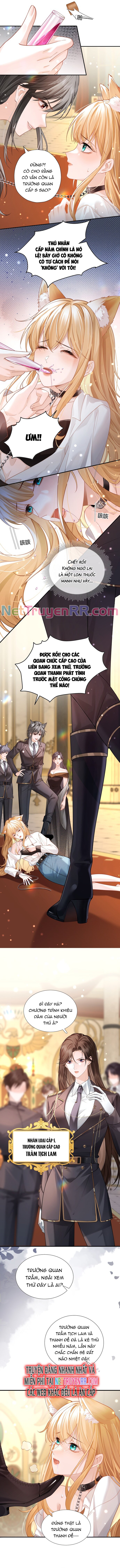 Trưởng Quan, Đuôi Của Cô Bị Lộ Rồi Kìa Chap 1 - Next Chap 2