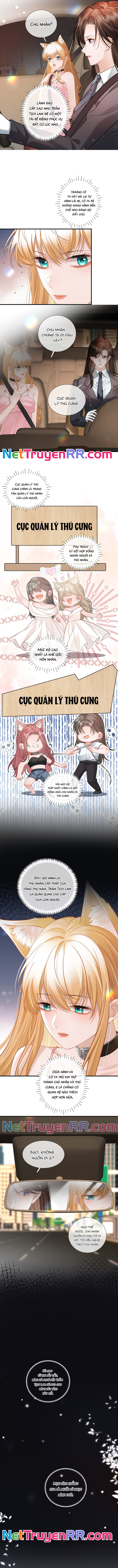 Trưởng Quan, Đuôi Của Cô Bị Lộ Rồi Kìa Chap 10 - Next Chap 11