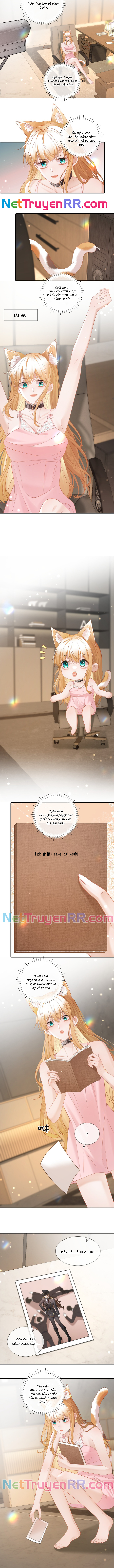 Trưởng Quan, Đuôi Của Cô Bị Lộ Rồi Kìa Chap 10 - Next Chap 11