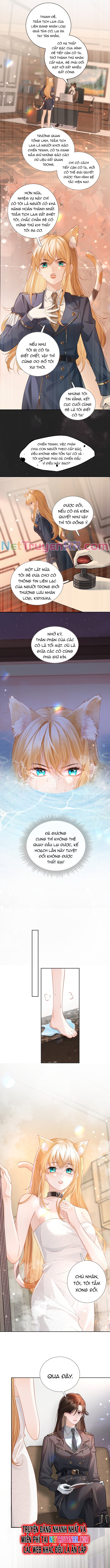 Trưởng Quan, Đuôi Của Cô Bị Lộ Rồi Kìa Chap 2 - Next Chap 3