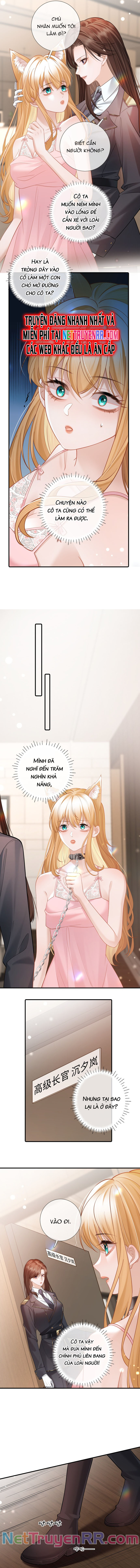 Trưởng Quan, Đuôi Của Cô Bị Lộ Rồi Kìa Chap 8 - Next Chap 9