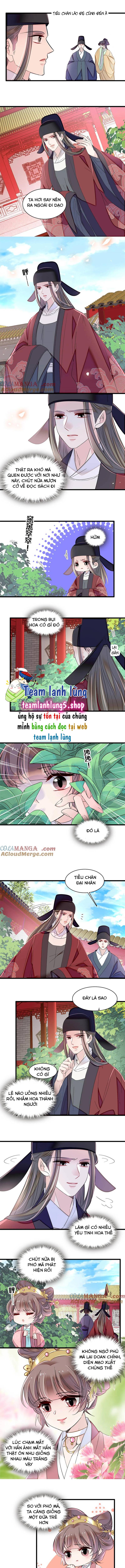 TỰ CẨM Chap 389 - Next Chap 390