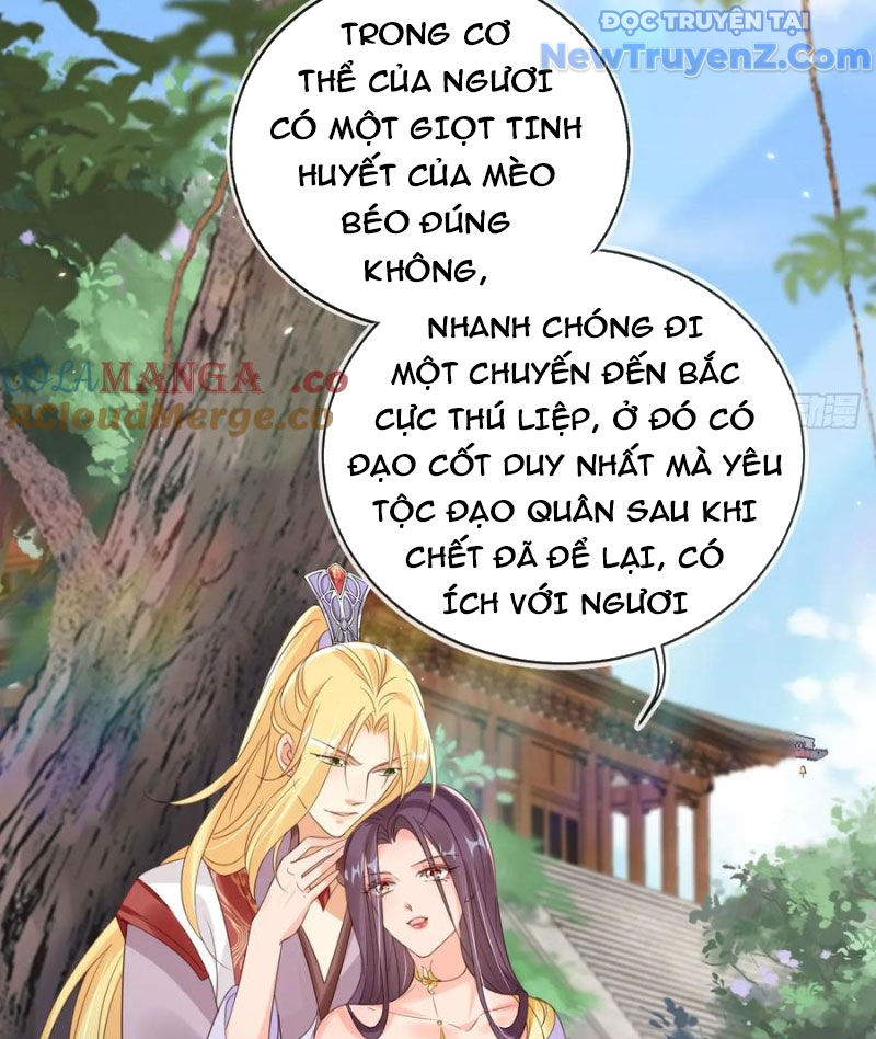 Tùy Tùng Của Nữ Phản Diện Chap 166 - Next Chap 167