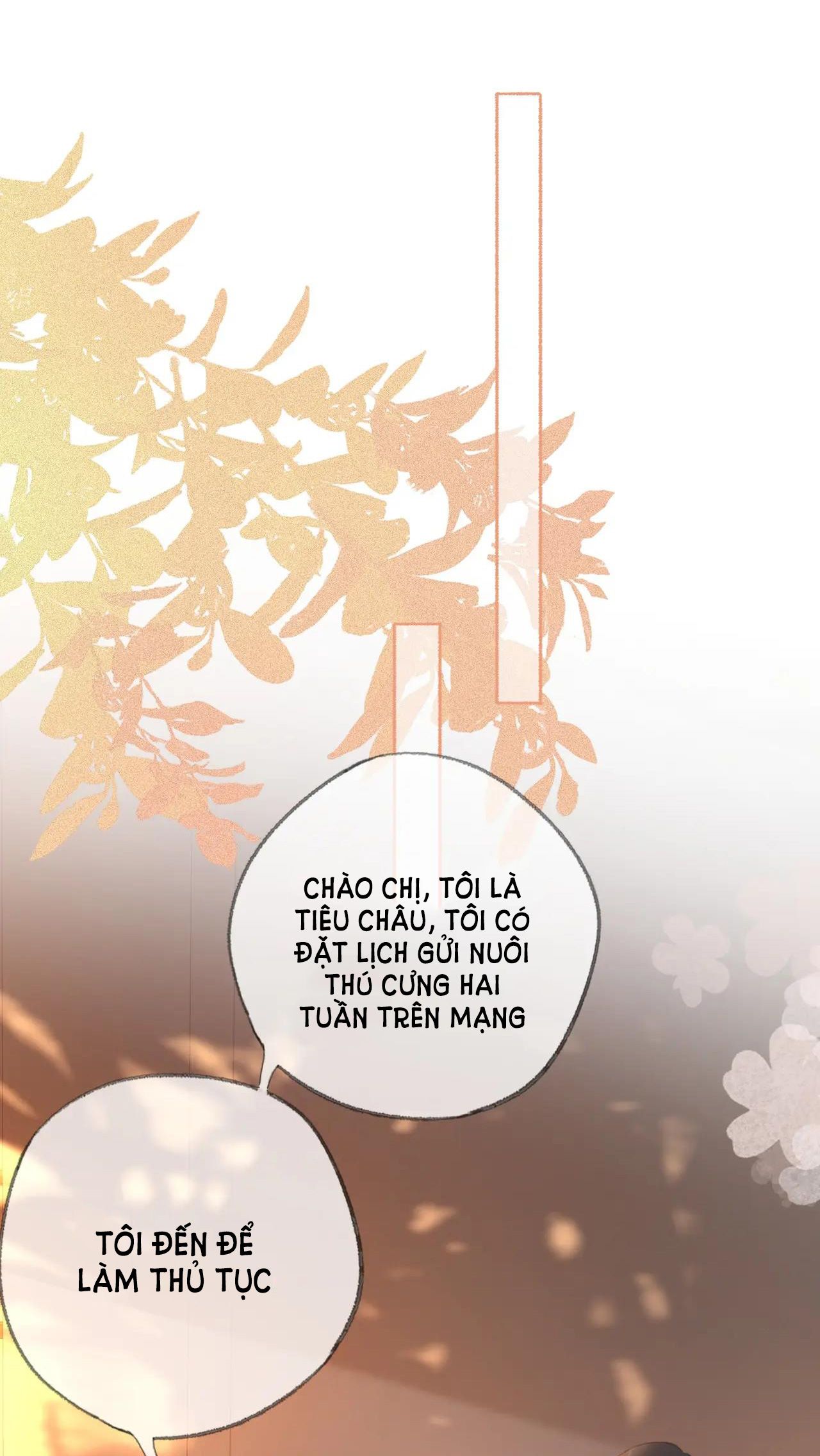 Tùy Ý Thiêu Đốt Lửa Tình Chap 19 - Next Chap 20