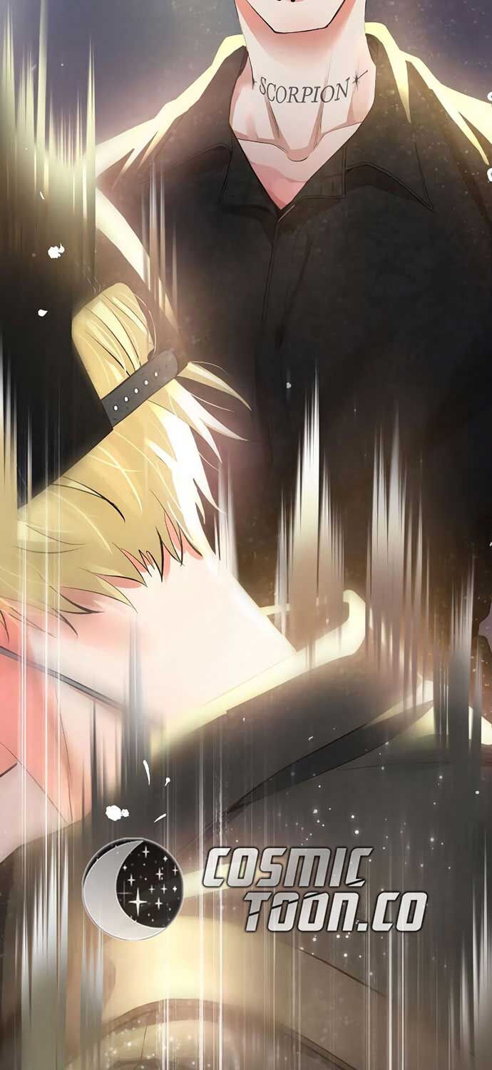 Vinh Quang Vô Tận Chap 47 - Next Chap 48