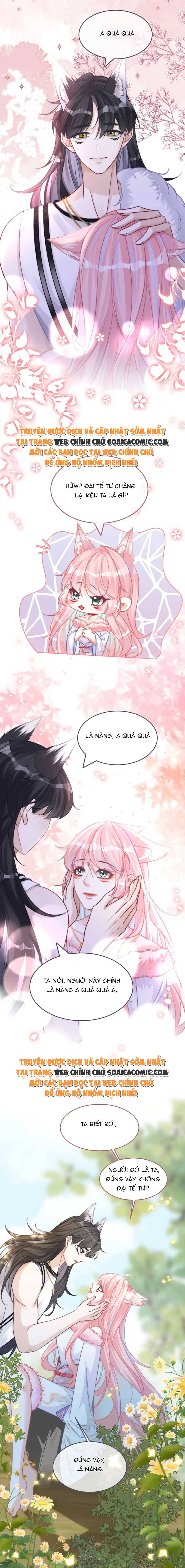 Xuyên Nhanh Nữ Xứng Bình Tĩnh Một Chút Chap 163 - Next Chap 164