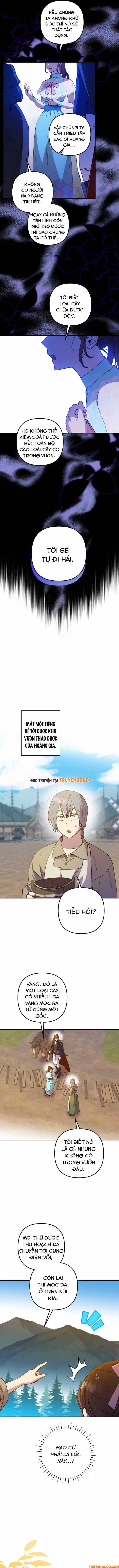 Your Majesty, Please Stop Now Chap 17 - Next Chap 18