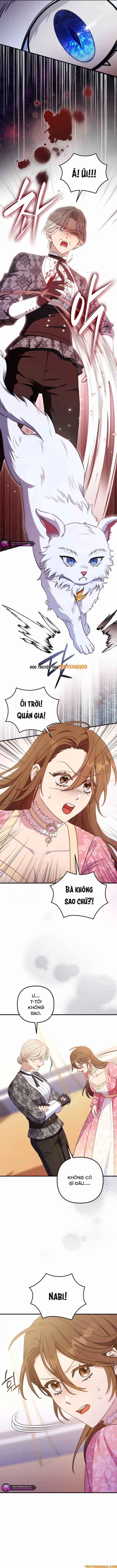 Your Majesty, Please Stop Now Chap 28 - Next Chap 29