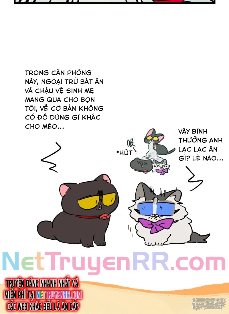 A Mãn Và Mạch Trà Chap 247 - Next Chap 248