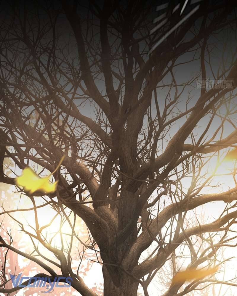 Ác Chi Hoàn Chap 50 - Next Chap 51