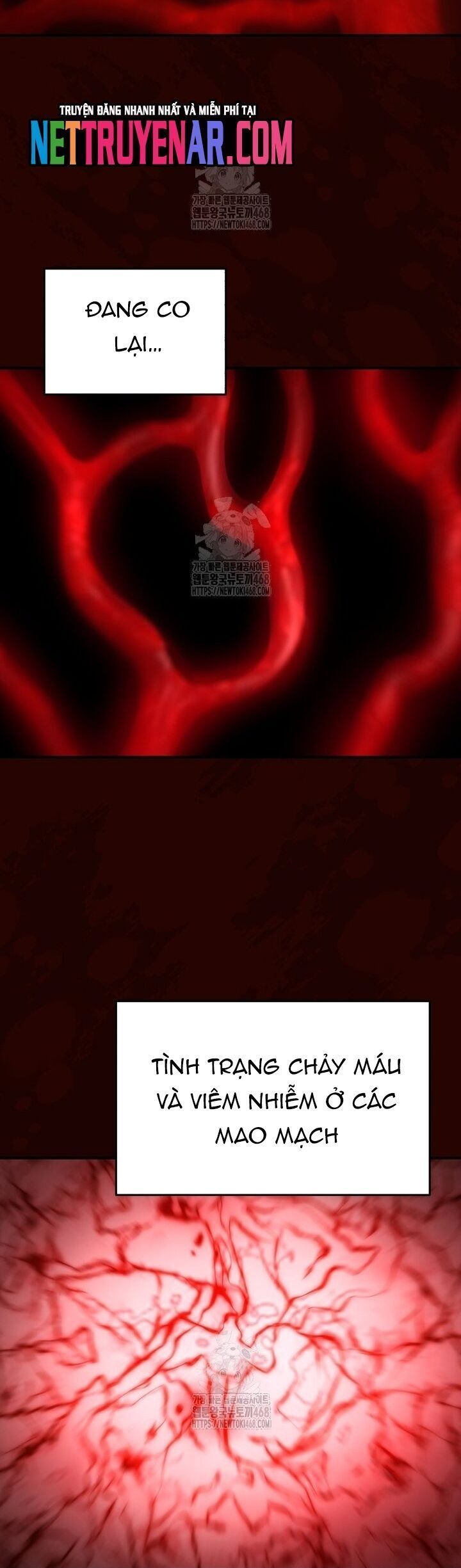 Ác Nhân Lồng Bát Giác Chap 47 - Next Chap 48