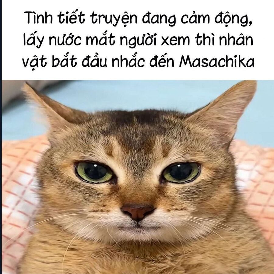 Akabane Honeko No Bodyguard Chap 53 - Next Chap 54