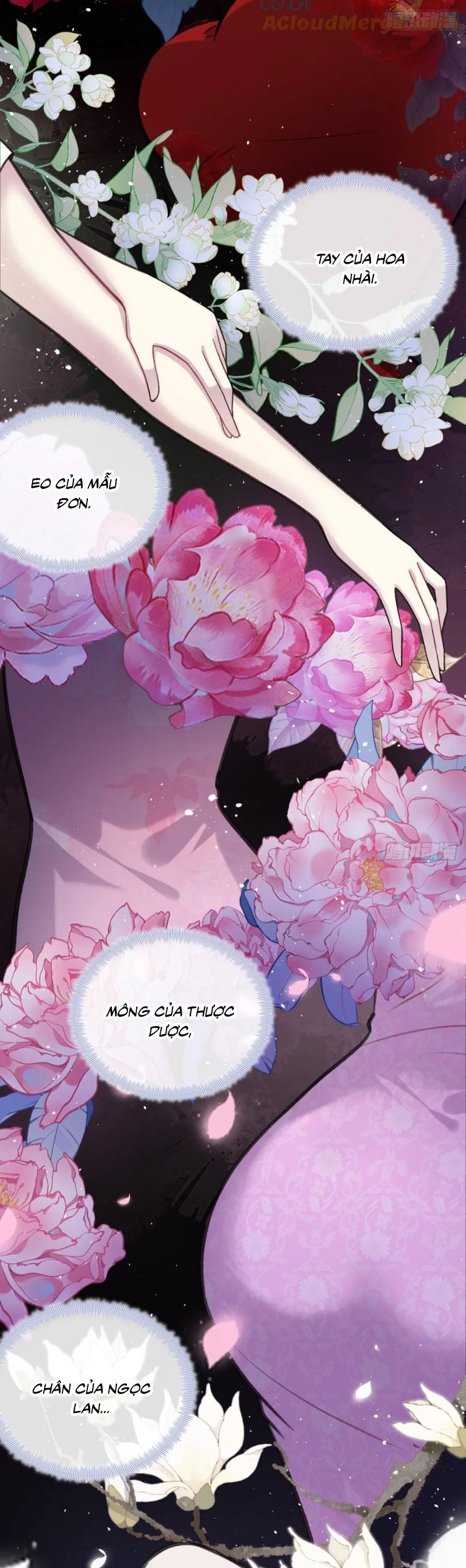 Anh Ấy Chưa Từng Rơi Xuống Chap 122 - Next Chap 123