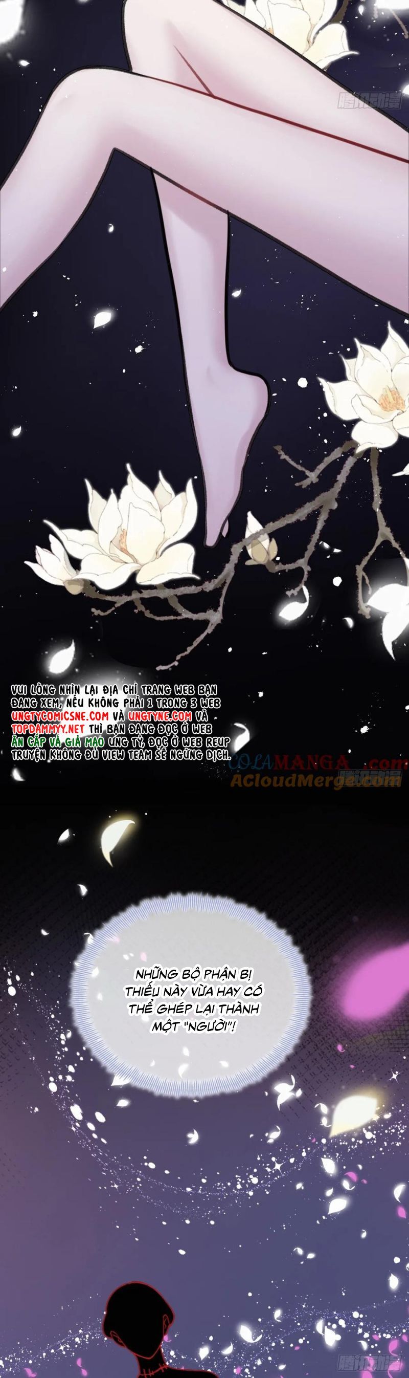 Anh Ấy Chưa Từng Rơi Xuống Chap 122 - Next Chap 123