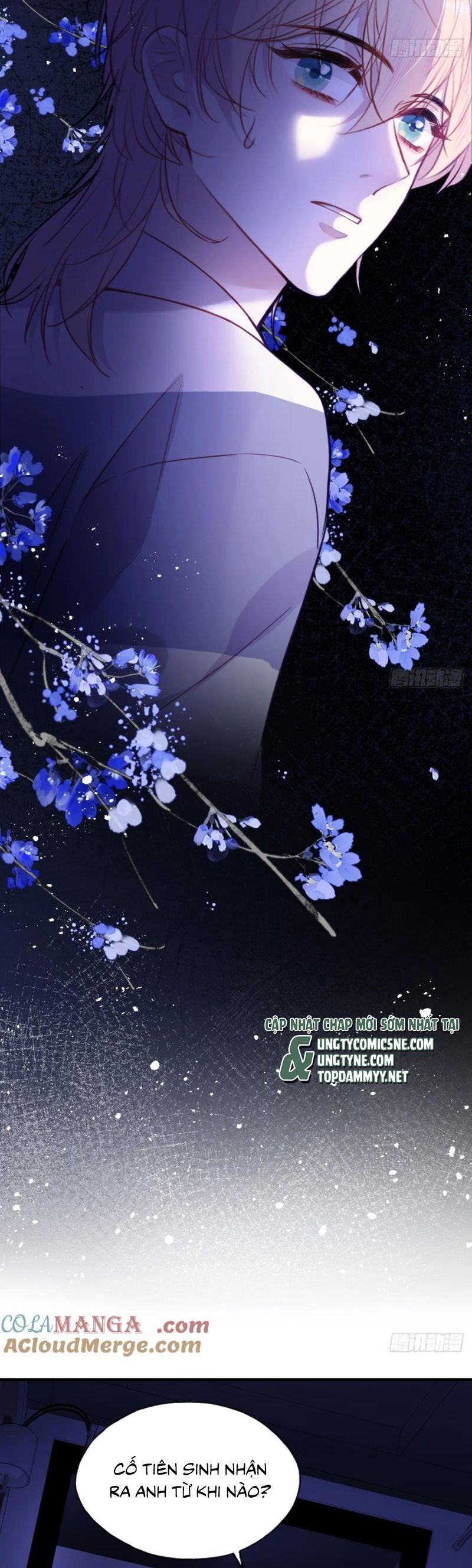 Anh Ấy Chưa Từng Rơi Xuống Chap 122 - Next Chap 123