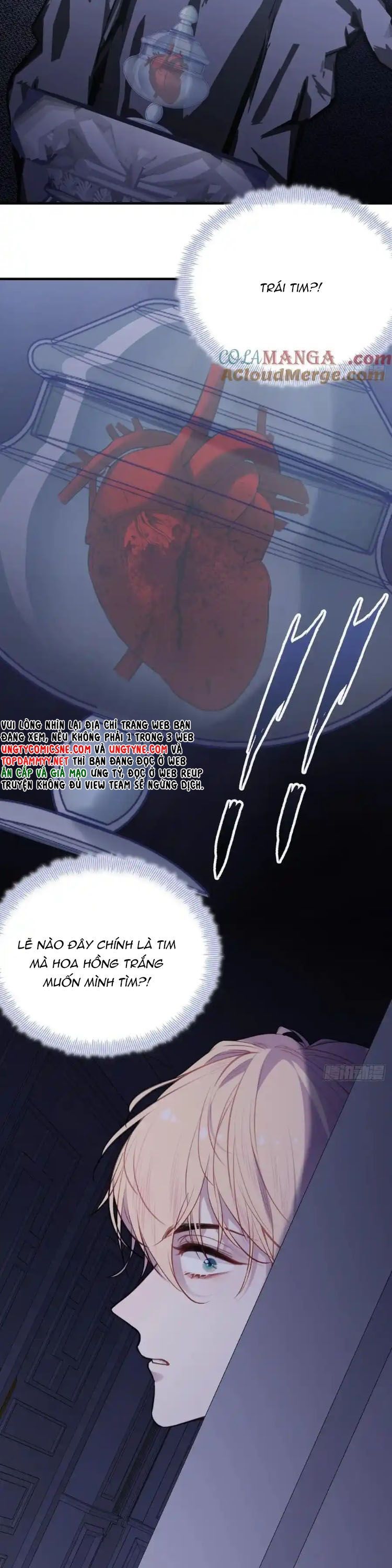 Anh Ấy Chưa Từng Rơi Xuống Chap 123 - Next Chap 124