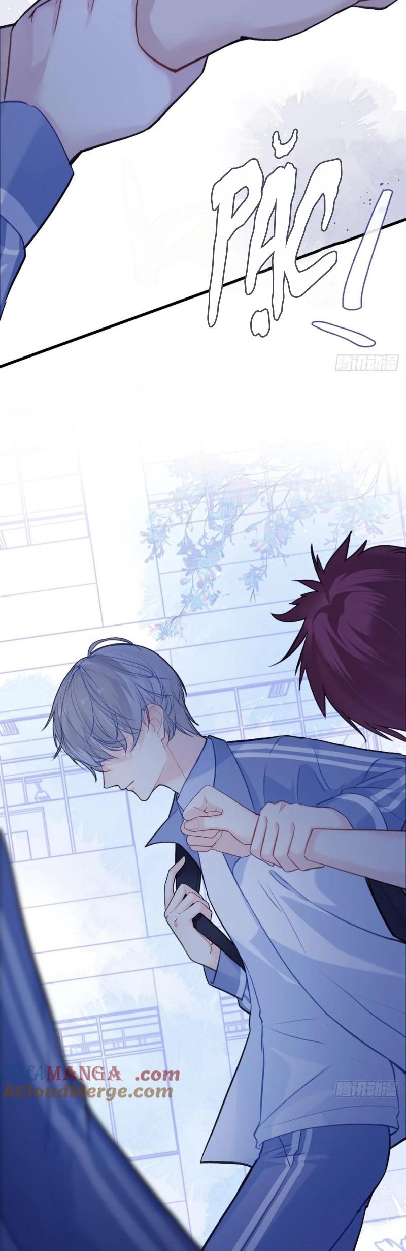 Anh Ấy Chưa Từng Rơi Xuống Chap 125 - Next Chap 126