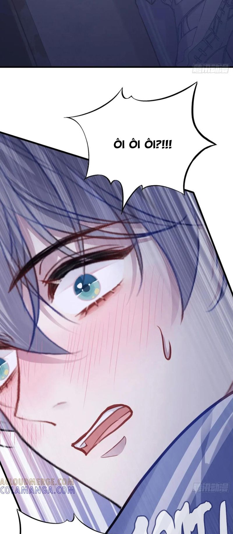 Anh Ấy Chưa Từng Rơi Xuống Chap 136 - Next Chap 137