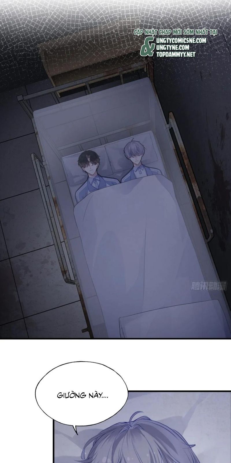 Anh Ấy Chưa Từng Rơi Xuống Chap 136 - Next Chap 137