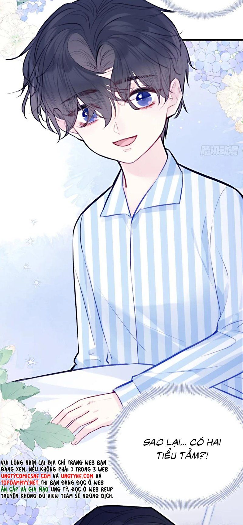 Anh Ấy Chưa Từng Rơi Xuống Chap 139 - Next Chap 140