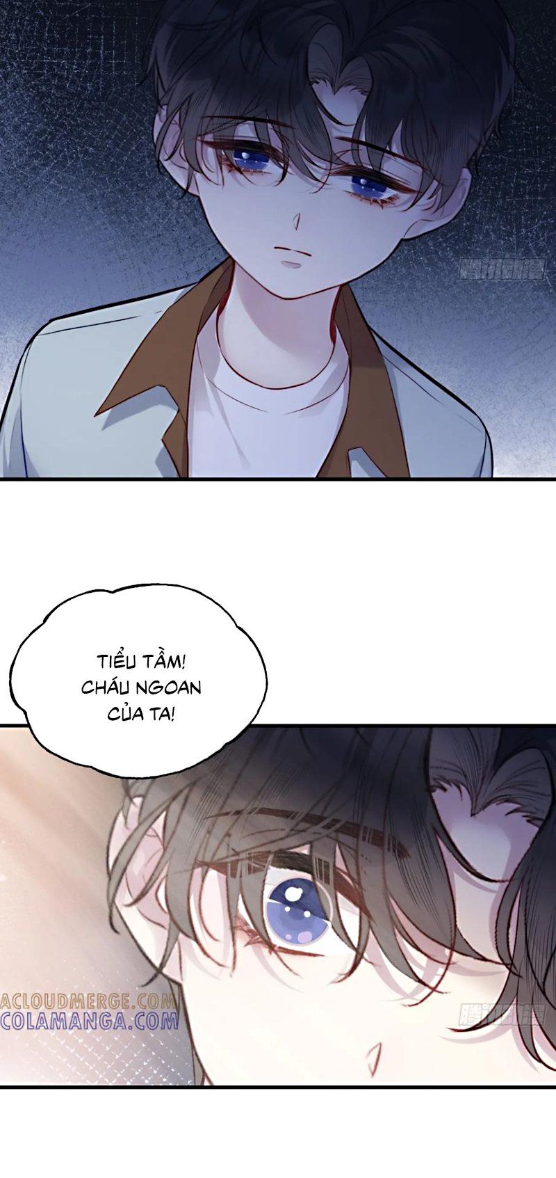 Anh Ấy Chưa Từng Rơi Xuống Chap 139 - Next Chap 140