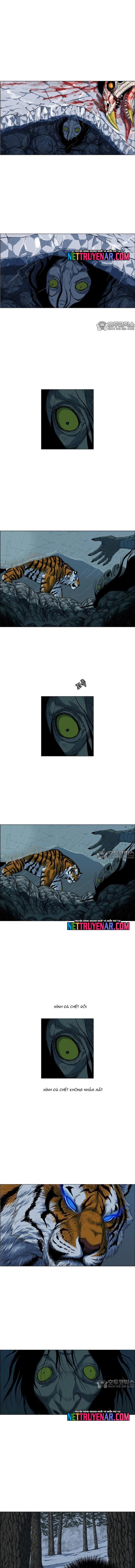 Anh Trai Tôi Là Hổ Chap 100 - Next Chap 101