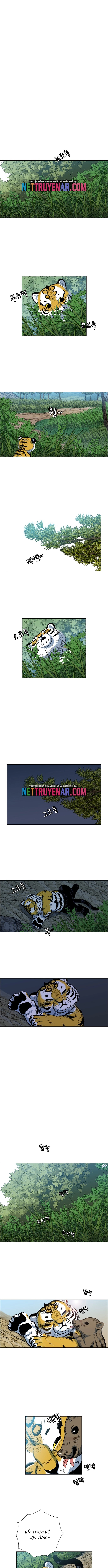 Anh Trai Tôi Là Hổ Chap 101 - Next Chap 102