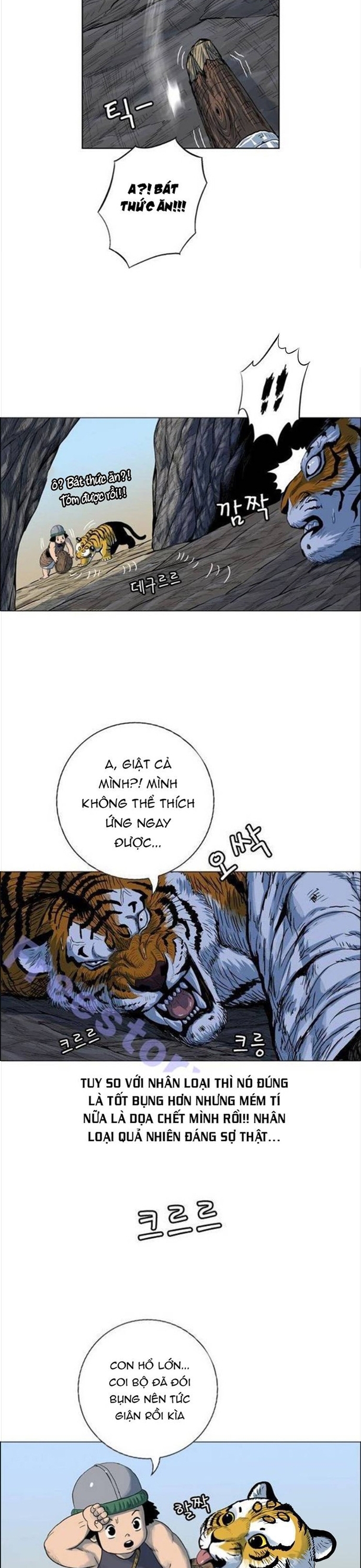 Anh Trai Tôi Là Hổ Chap 93 - Next Chap 94