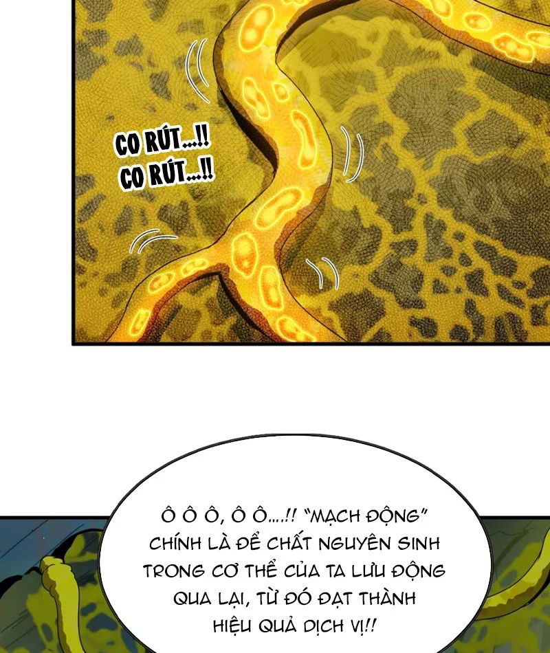 Bắt Đầu Từ Việc Trùng Sinh Thành Niêm Khuẩn Chap 1 - Next Chap 2