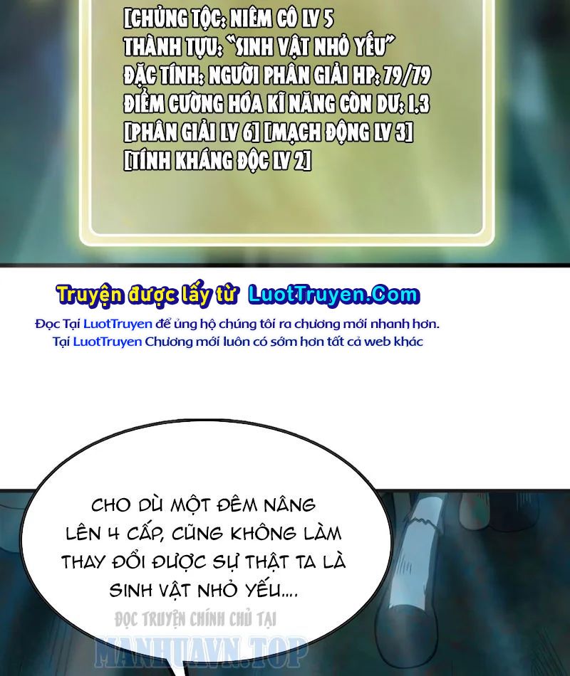 Bắt Đầu Từ Việc Trùng Sinh Thành Niêm Khuẩn Chap 2 - Next Chap 3