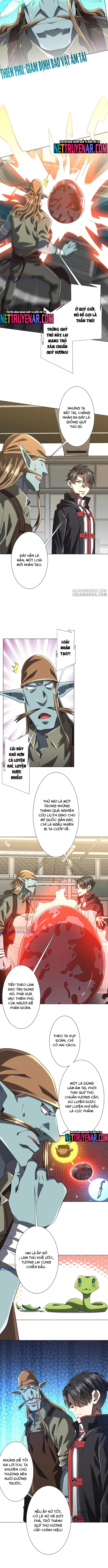 Bắt Đầu Với Trăm Vạn Minh Tệ Chap 263 - Next Chap 264