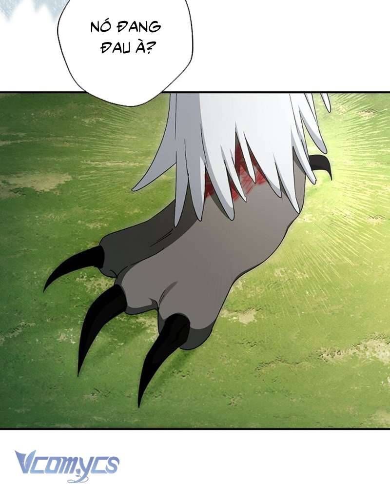 Các Nam Chính Đã Bị Nữ Phụ Cướp Mất Chap 60 - Next Chap 61