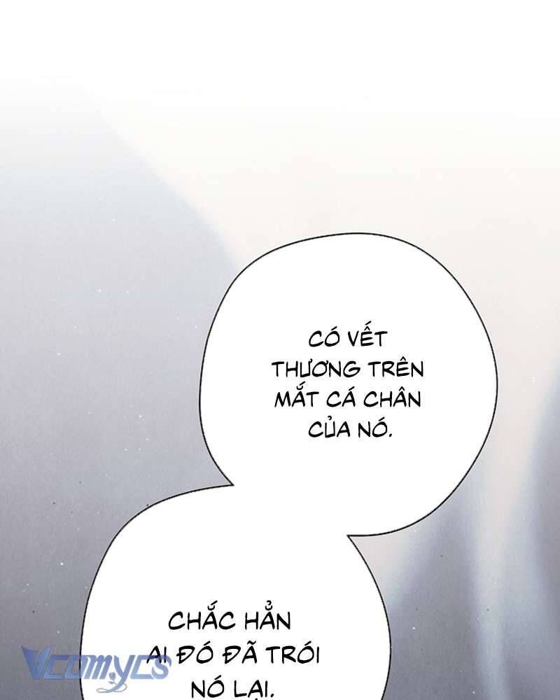 Các Nam Chính Đã Bị Nữ Phụ Cướp Mất Chap 60 - Next Chap 61