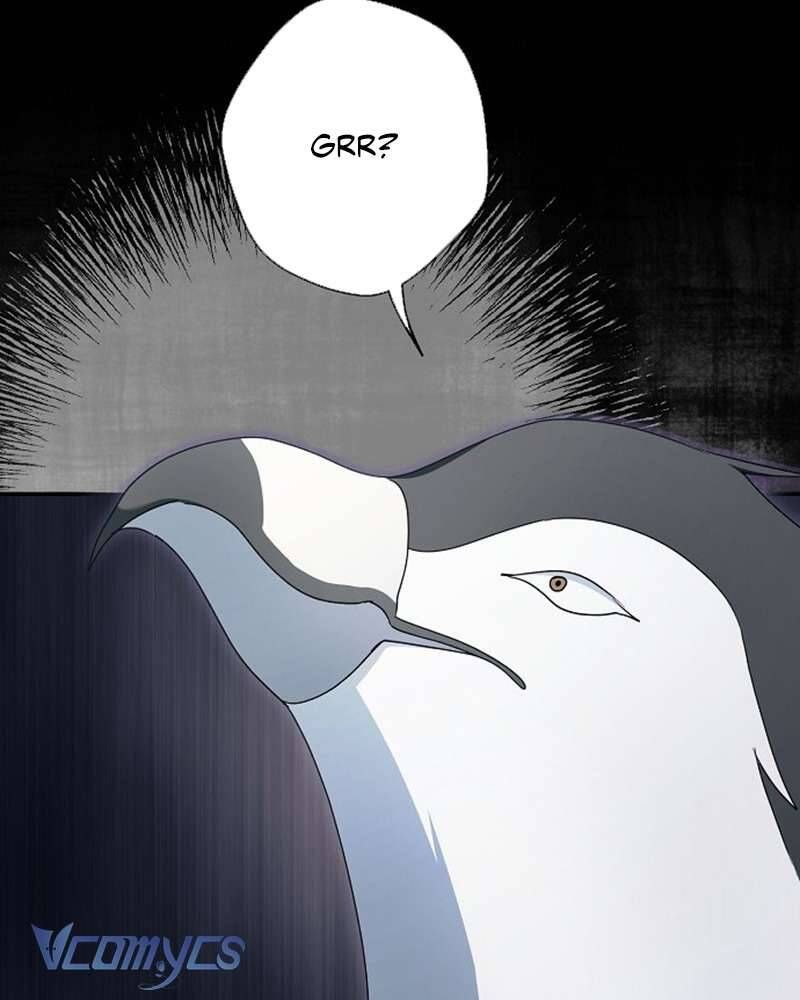 Các Nam Chính Đã Bị Nữ Phụ Cướp Mất Chap 60 - Next Chap 61