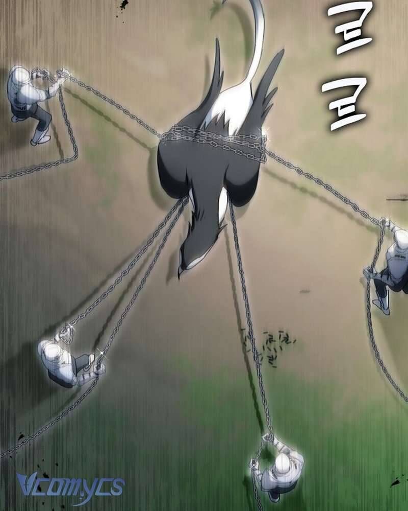 Các Nam Chính Đã Bị Nữ Phụ Cướp Mất Chap 60 - Next Chap 61