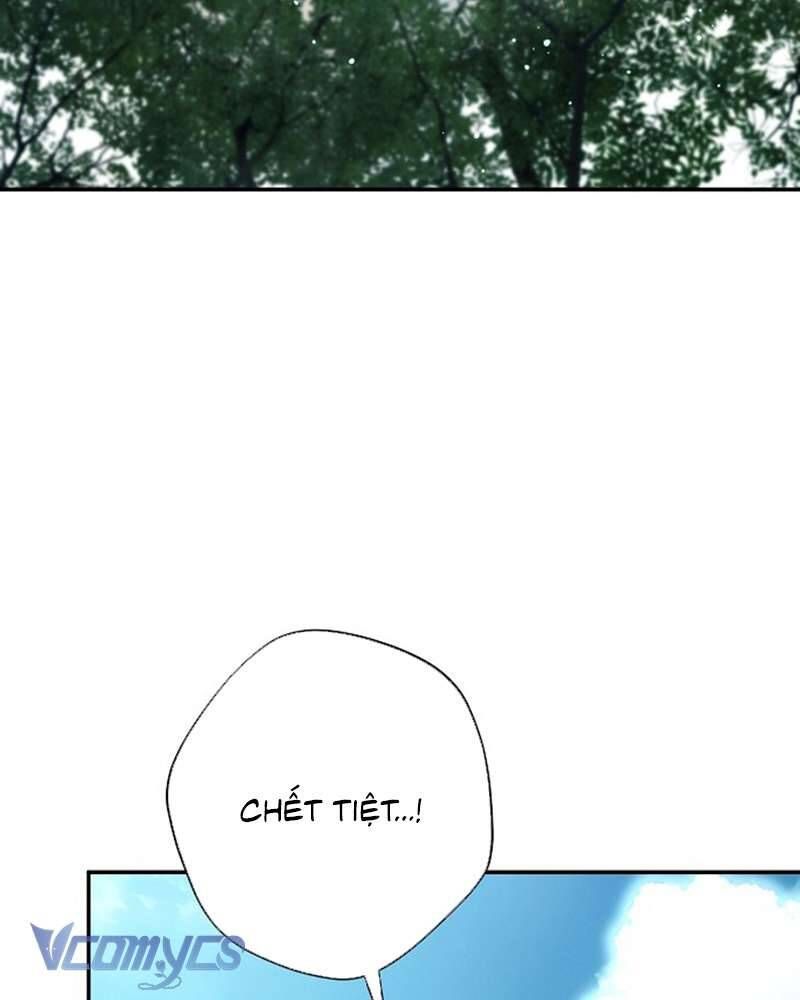 Các Nam Chính Đã Bị Nữ Phụ Cướp Mất Chap 60 - Next Chap 61